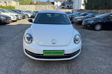 Skoda Beetle 