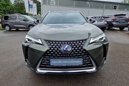 Lexus UX Gebrauchtwagen