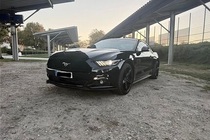 Ford Mustang Gebrauchtwagen