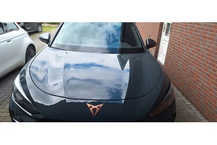 Cupra Terramar Gebrauchtwagen
