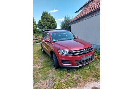 VW Tiguan Gebrauchtwagen