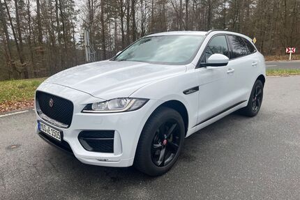 Jaguar F-Pace Gebrauchtwagen