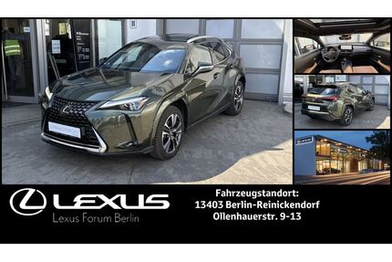 Lexus UX Gebrauchtwagen