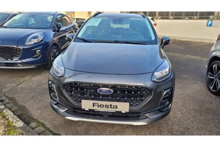 Ford Fiesta Gebrauchtwagen