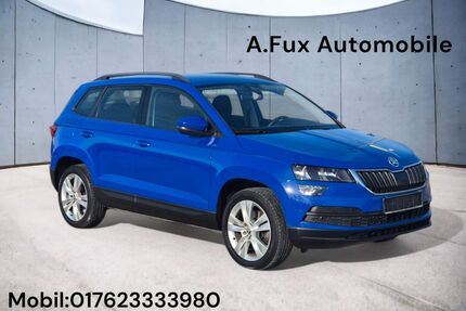 Skoda Karoq Gebrauchtwagen
