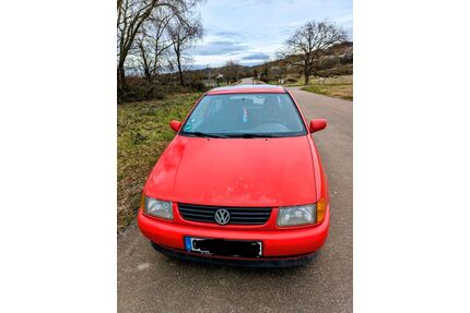 VW Polo Gebrauchtwagen