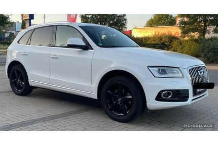 Audi Q5 Gebrauchtwagen