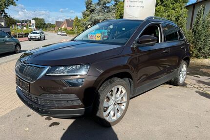Skoda Karoq Gebrauchtwagen
