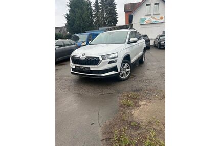 Skoda Karoq Gebrauchtwagen