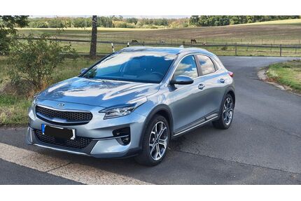 Kia XCeed Gebrauchtwagen