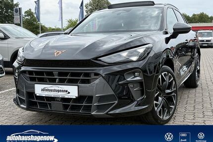 Cupra Terramar Gebrauchtwagen