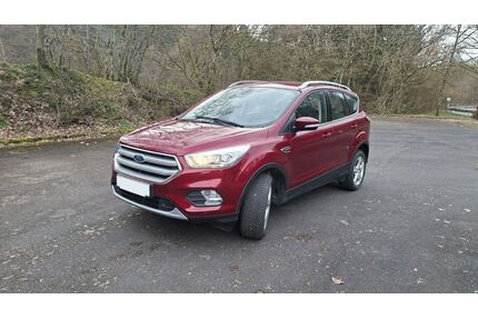 Ford Kuga Gebrauchtwagen