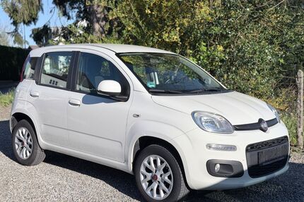 Fiat Panda Gebrauchtwagen