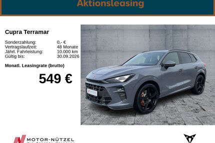 Cupra Terramar Gebrauchtwagen