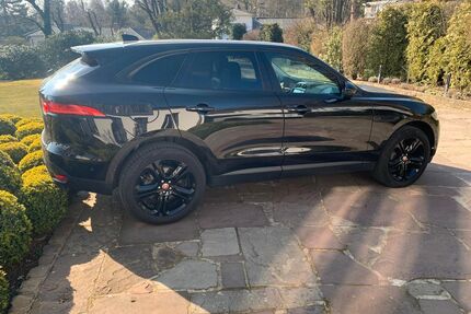 Jaguar F-Pace Gebrauchtwagen