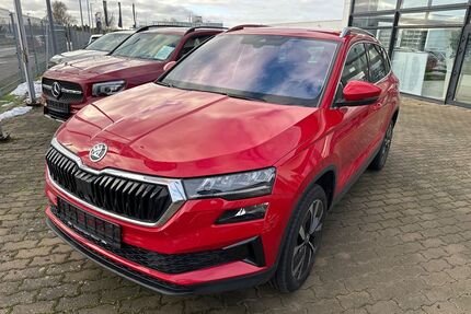 Skoda Karoq Gebrauchtwagen