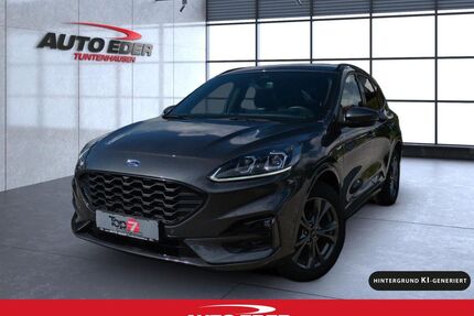 Ford Kuga Gebrauchtwagen