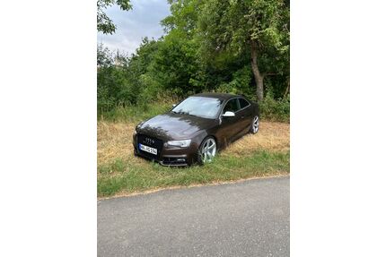 Audi S5 Gebrauchtwagen