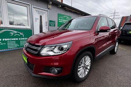 VW Tiguan Gebrauchtwagen