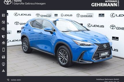 Lexus NX 450h Gebrauchtwagen