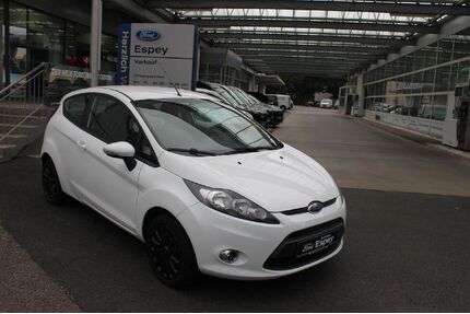 Ford Fiesta Gebrauchtwagen