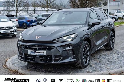 Cupra Terramar Gebrauchtwagen
