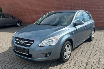 Kia ceed / Ceed Gebrauchtwagen