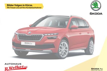 Skoda Kamiq Gebrauchtwagen