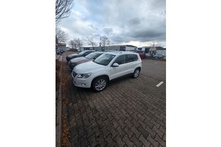 VW Tiguan Gebrauchtwagen