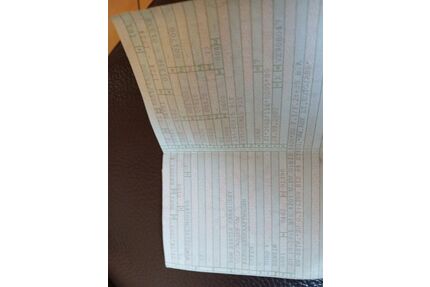 VW Beetle Gebrauchtwagen