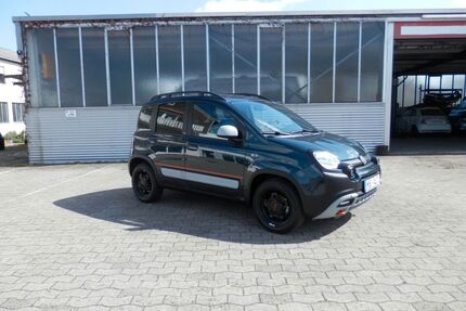 Fiat Panda Gebrauchtwagen