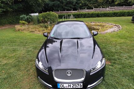 Jaguar XF Gebrauchtwagen