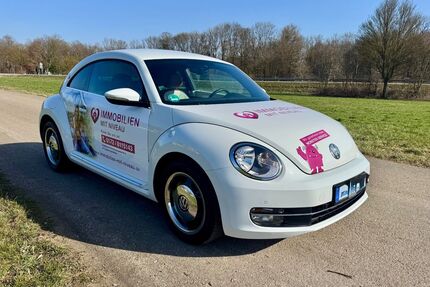 VW Beetle Gebrauchtwagen