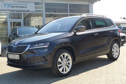 Skoda Karoq Gebrauchtwagen