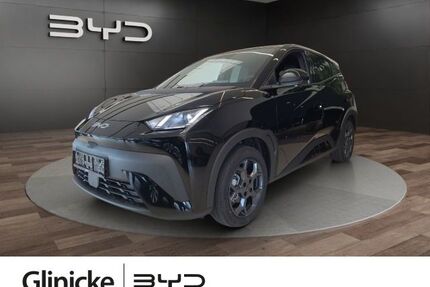 BYD DOLPHIN Gebrauchtwagen