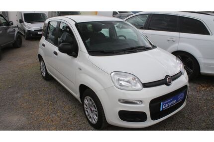 Fiat Panda Gebrauchtwagen