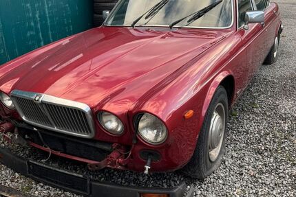 Jaguar XJ12 Gebrauchtwagen