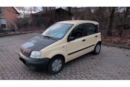 Fiat Panda Gebrauchtwagen
