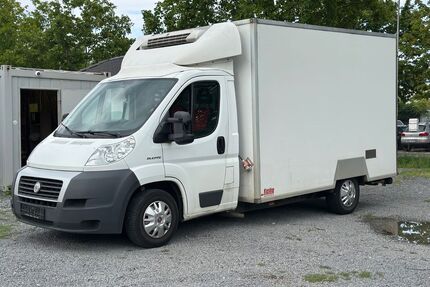 Fiat Ducato Gebrauchtwagen