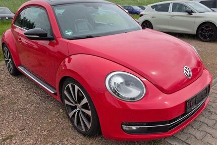 VW Beetle Gebrauchtwagen