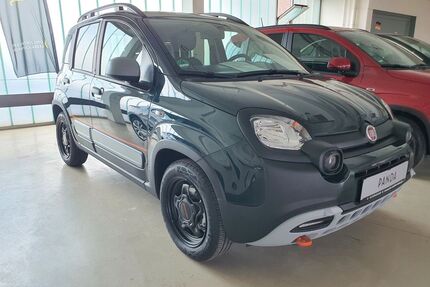 Fiat Panda Gebrauchtwagen
