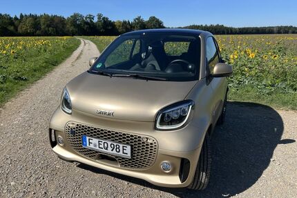 Smart ForTwo Gebrauchtwagen