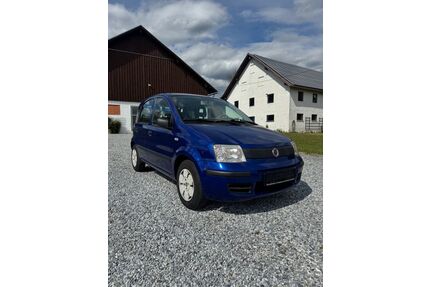 Fiat Panda Gebrauchtwagen