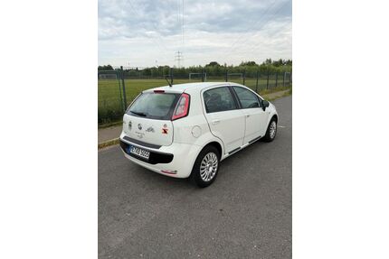 Fiat Punto Gebrauchtwagen