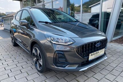 Ford Fiesta Gebrauchtwagen
