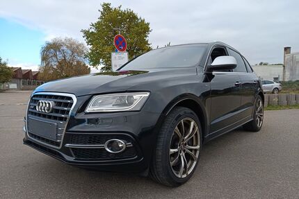 Audi SQ5 Gebrauchtwagen