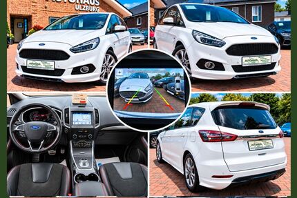 Ford S-Max Gebrauchtwagen