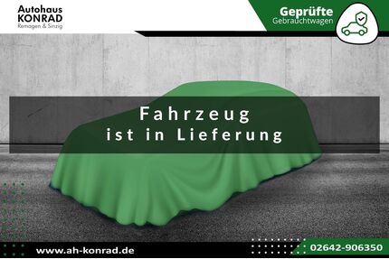 Cupra Terramar Gebrauchtwagen