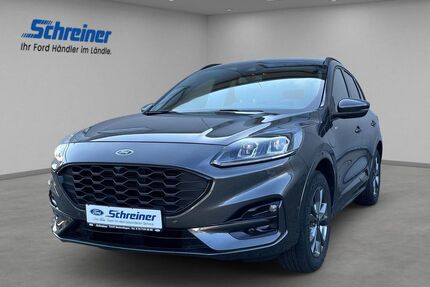 Ford Kuga Gebrauchtwagen