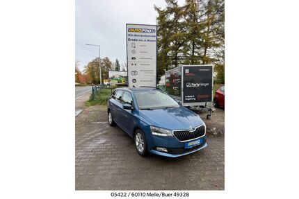 Skoda Fabia Gebrauchtwagen